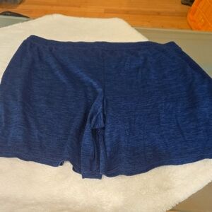 men's Blue All In Motion Shorts
